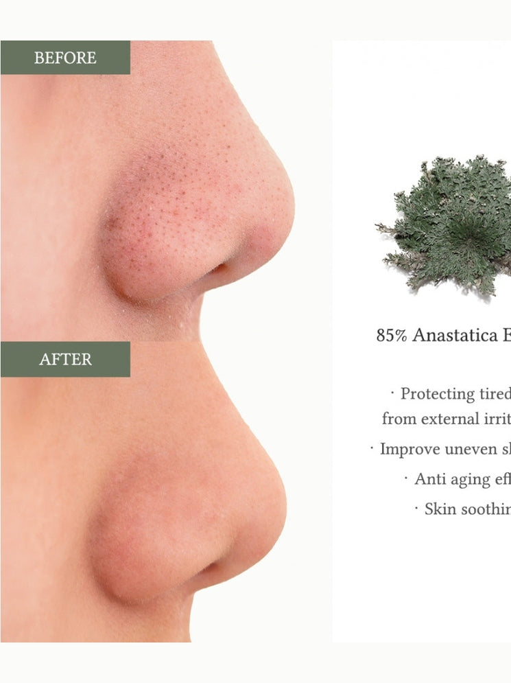 Anastatica Skin Conditioning Pad