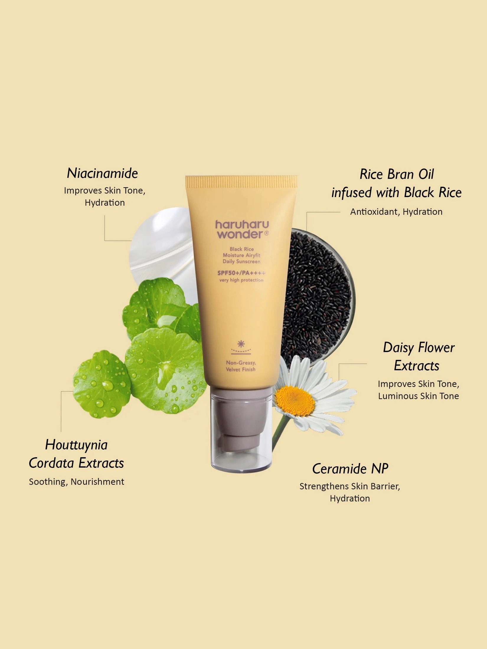 Black Rice Moisture Airyfit Daily Sunscreen