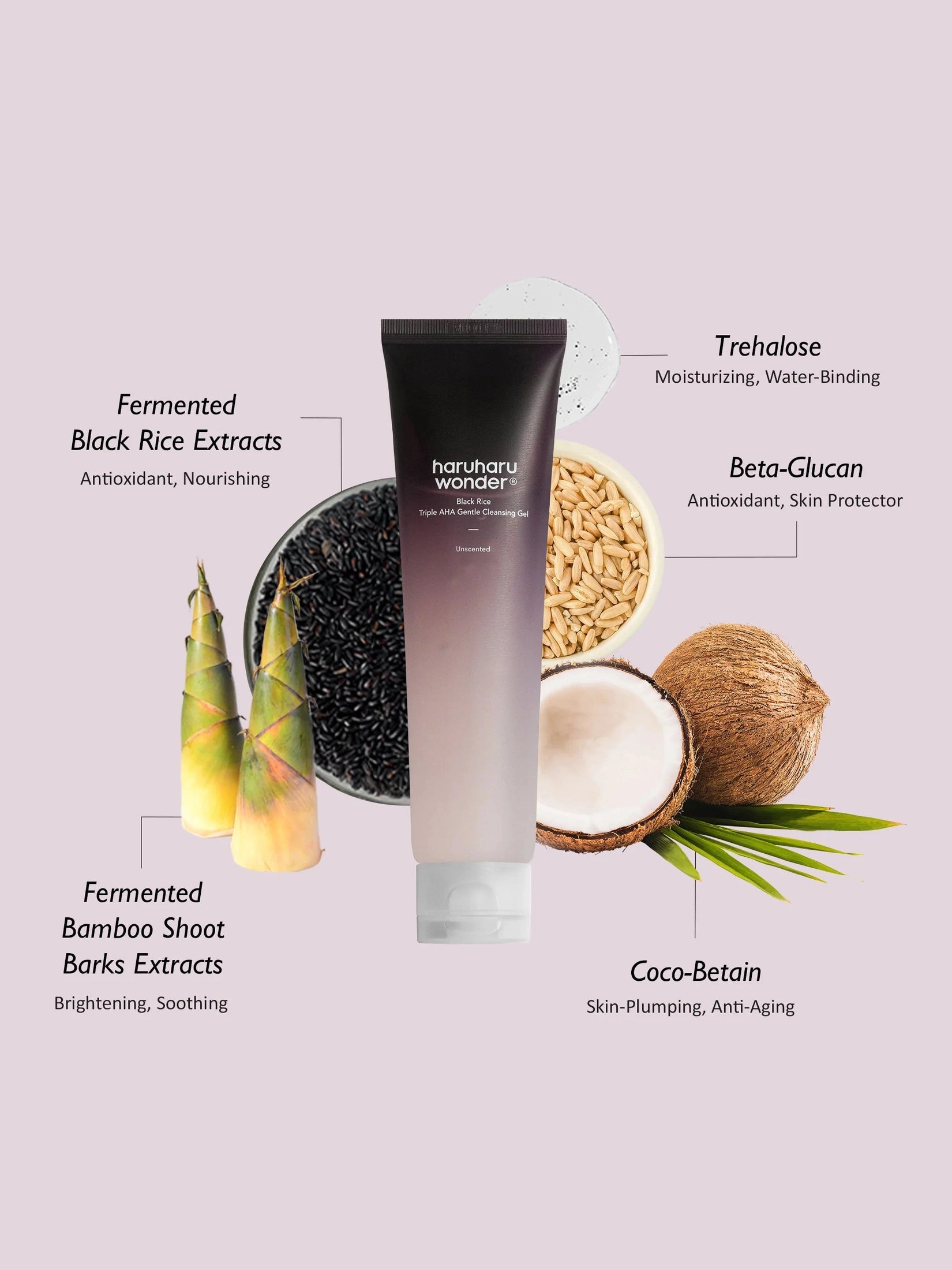 Black Rice Triple AHA Gentle Cleansing Gel