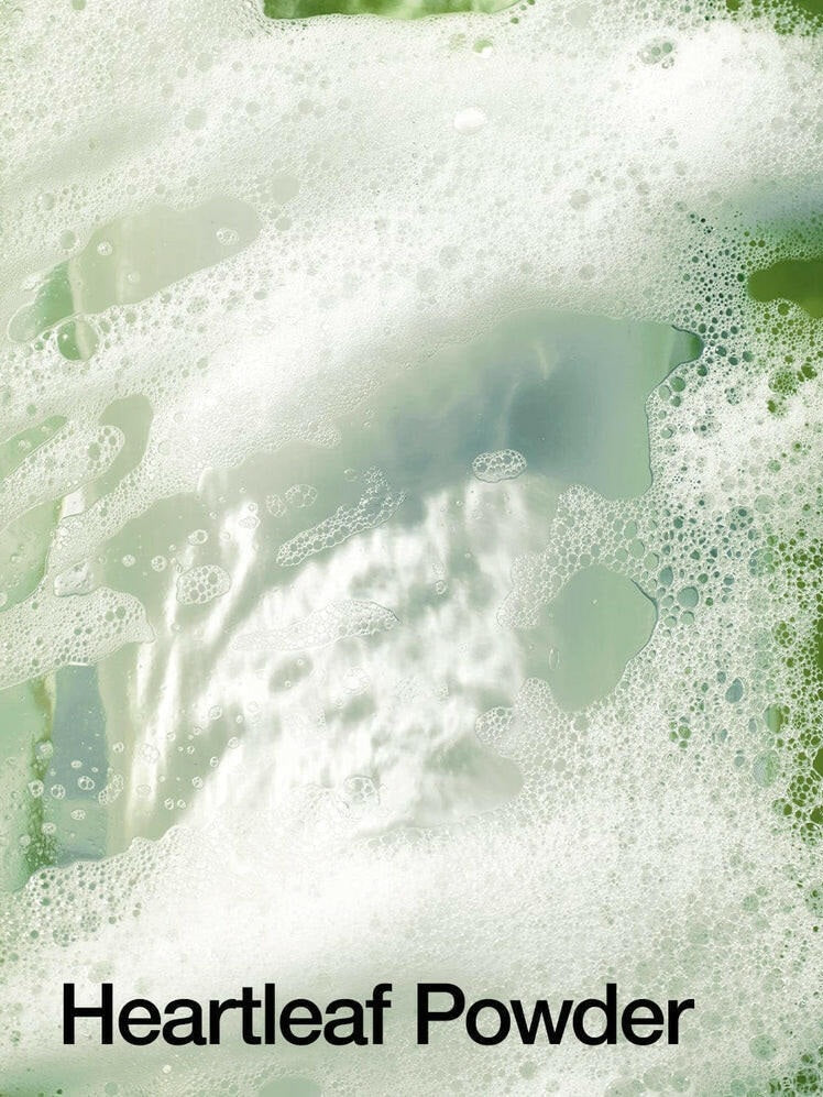 Heartleaf Quercetinol Pore Deep Cleansing Foam